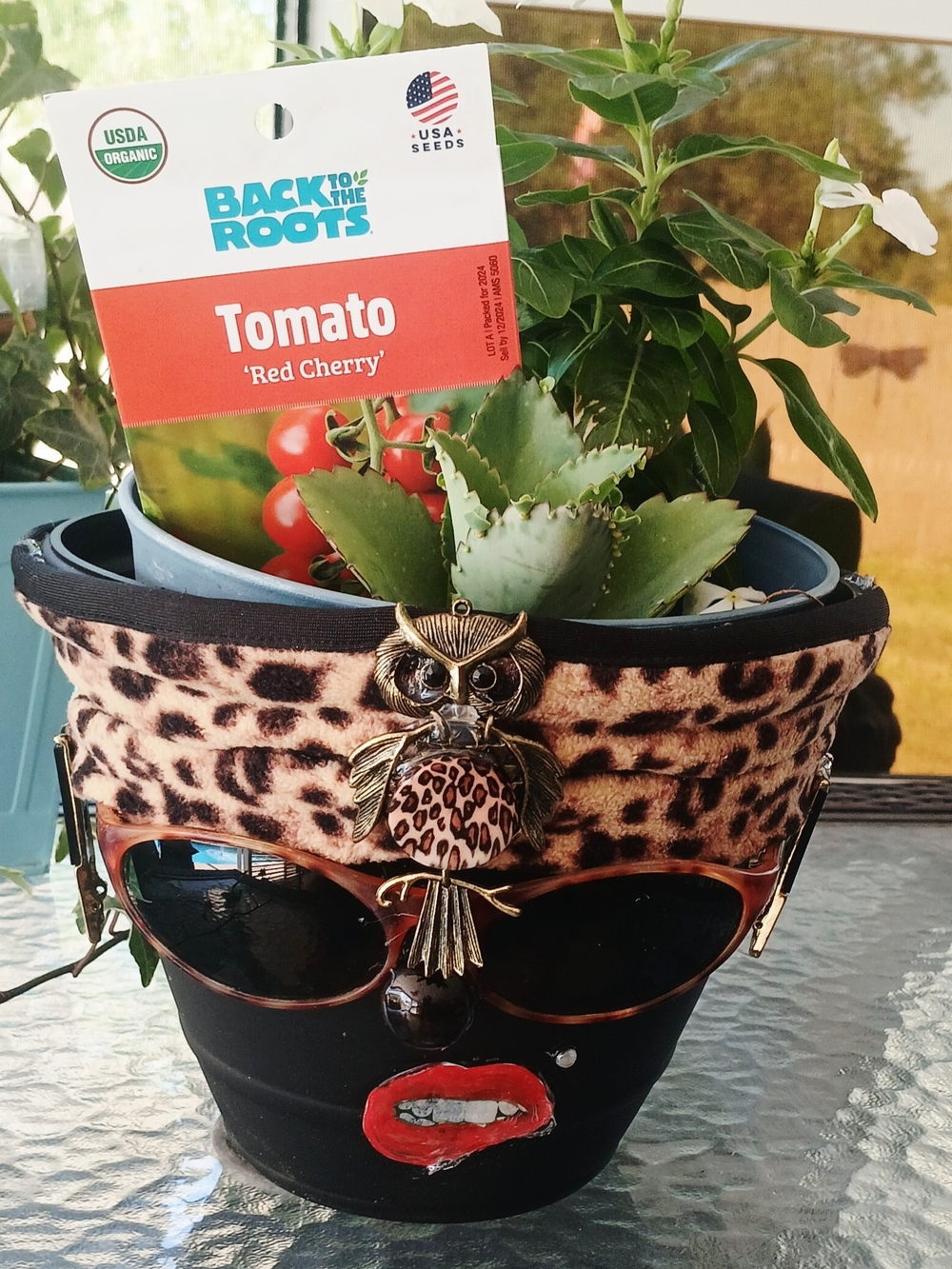 Miss Potty Head Planter With Tomato 'Red Cherry' Seed Packet - Red